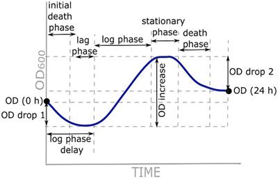 Antibiotic’s target site affects the potentiation of Lactiplantibacillus plantarum inhibition and inactivation by electroporation